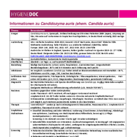 Informationen zu Candida auris 