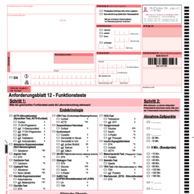 Anforderungsschein 12 - Funktionsteste